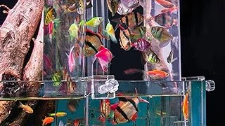 Most Popular 5 Coffee Table Fish Tank